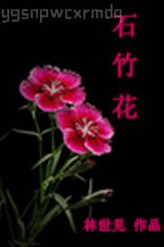 影豆網(wǎng)電視劇