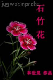 日本大全視頻